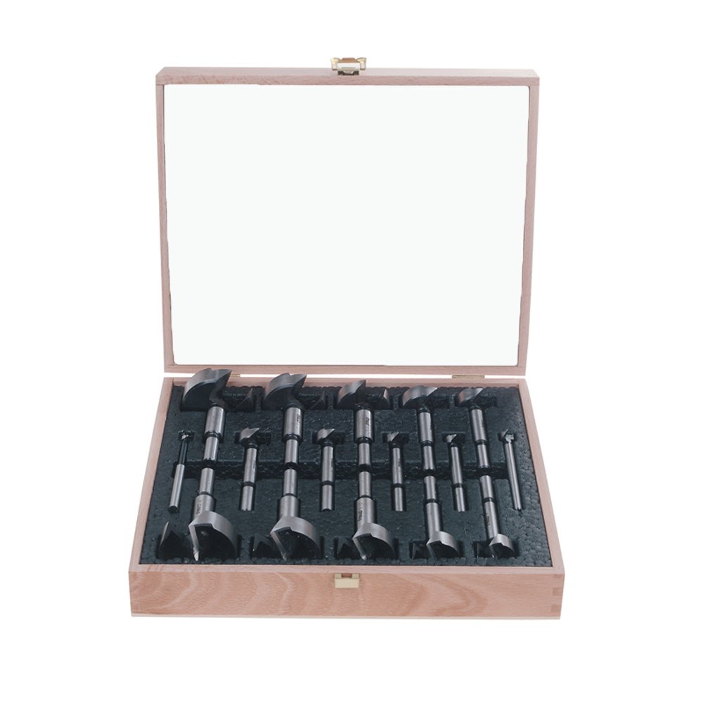 Freud FB-100 16-Piece Diablo Forstner Drill Bit Set