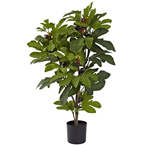 Casi Natural 5440 Fig Tree, 81,3 cm