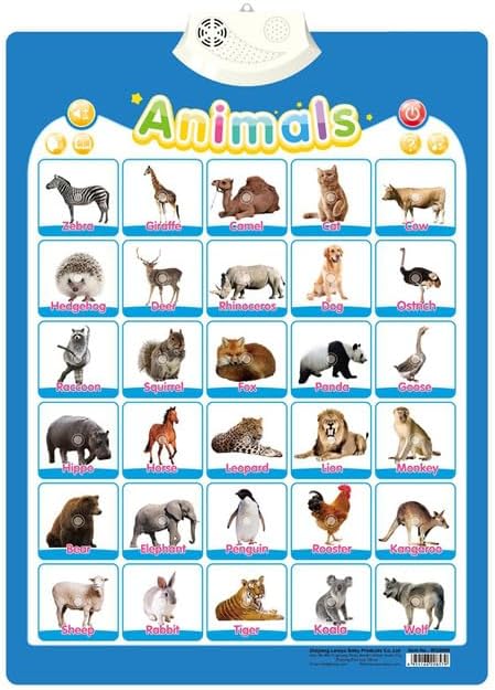 ТоуAE - Electronic English Alphabet Wall Chart Talking ABC Letters 123s Music Poster Educational Learning Тоу for Toddler Kids Gifts (Animal 945)