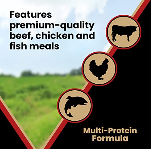 Image of VICTOR Purpose Nutra Pro Dry Dog Food - High Protein Gluten-Free, 40 lb