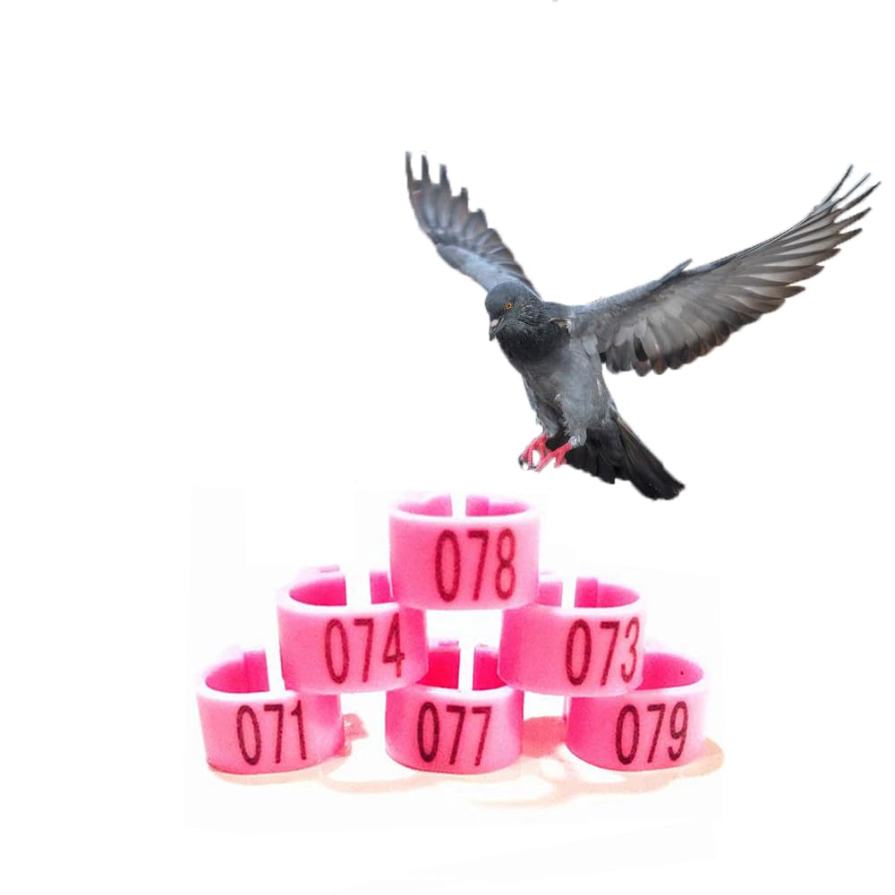 10mm 001-100/001-200/001-300/001-400/001-500 Number Plastic Bird