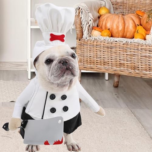 Disfraz de chef para gato en Halloween y fiestas de cumpleaños de mascotas 7
