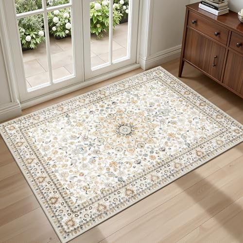 ExpediX 2x3 Vintage Area Rug