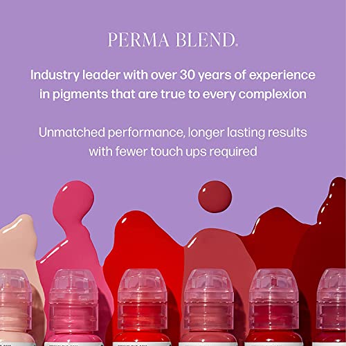 Perma Blend, Blackish Brown - High Opacity Pigment For Eyebrows & Eyeliner - Permanent, Vegan, Tattoo Makeup - Cool Toned Brow Color, Cruelty Free (0.5 Oz) #TOP4