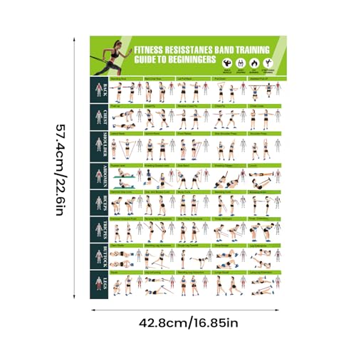 Póster de resistencia de 42,8 x 57,4 cm para tablas de yoga y ejercicio físico 2