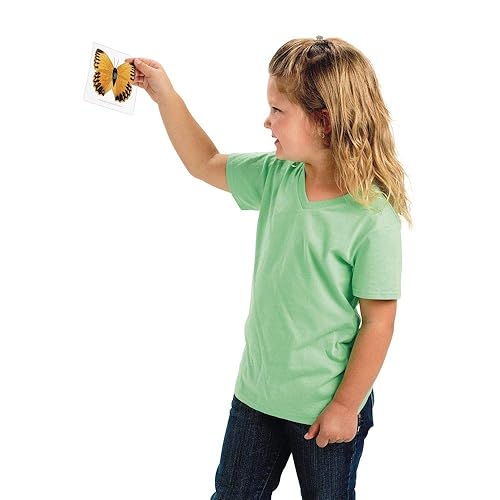 Miniatura 5 de Excellerations Juego de 28 especímenes laminados educativos para estudio de naturaleza STEM (artículo # estudio)