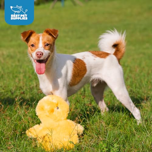 Image of Best Pet Supplies Interactive Squeaky Dog Chew Toy, Ideal Dog Toys for Chewers, Small, Medium & Large Dogs, and Fetch Lovers - Crinkle Chicken (Yellow), Large
