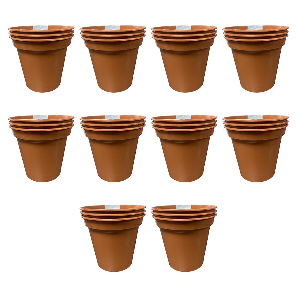 Accurate Terracotta Garden Pot (Set Of 3) Ideal For Cultivation Of Cuttings Or Pricking Out- Colour- Size (6Inch/15Cm) (10)