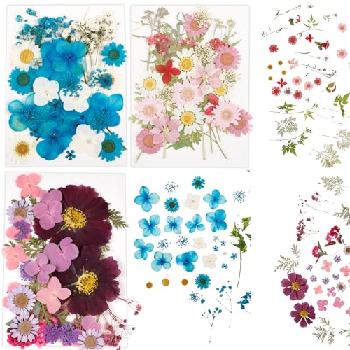 104 Flores Secas Presionadas Set Multiuso Manualidades miniatura 7