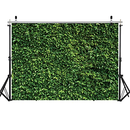 Fondo Fotográfico Verde 10x8FT para Estudio y Eventos miniatura 2