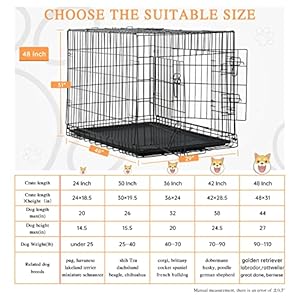 48 inch double door folding metal dog crate with divider and leak proof pan  for medium to large breed dogs   cucciolini doodles