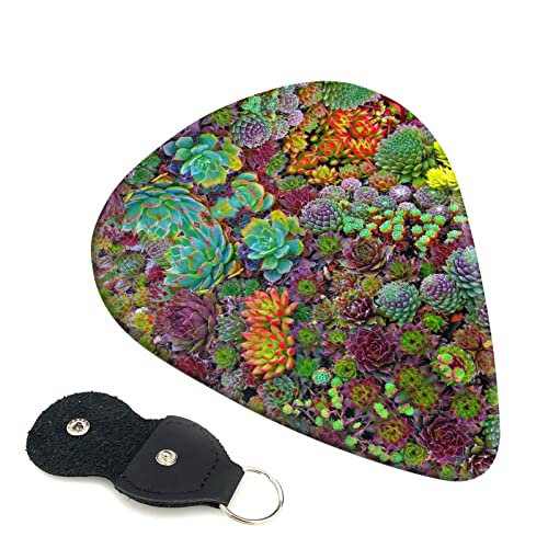 Succulent Lot de 6 médiators pour guitare acoustique, guitare électrique, basse, ukulélé – fin, moyen et épais. - Les Beatles, Paul McCartney, John Lennon, RIngo Starr, George Harrison Succulent Lot de 6 médiators pour guitare acoustique, guitare électrique, basse, ukulélé – fin, moyen et épais.