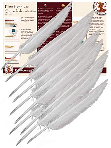 Forum Traiani Lot de 10 plumes pour l'écriture - Plume d'écriture pour calligraphie - Plume à...