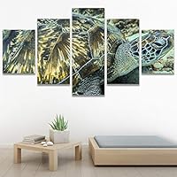 SIGNWIN 5 Panel Canvas Wall Art Modern Art Multicolor Nautical Photography Relax/Calm Reptiles Turtle for Home Decorations Ready to Hang - 60