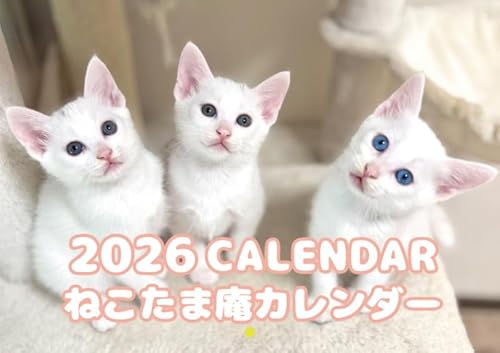 【予約販売】 ねこたま庵 猫 2026年 壁掛け カレンダー KK26021のサムネイル
