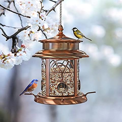 Westcharm Solar Bird Feeder for Outside Hanging | Garden Solar Powered LED Arch Inlay Squirrel Proof Birdfeeder | Outdoor Solar Lantern Feeder for Birds | Gift for Bird Lovers - Antique Copper Cover