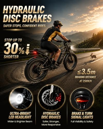 Trafly 5000W AWD Dual Motor Ebike