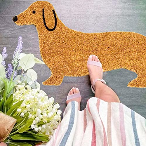 Dachshunds Area Rug,Super Soft Fluffy Rugs For Living Room 1.3X2 Feet,Anti-Slip Furry Rug,Washable Shaggy Rugs For Bedroom Nursery Teen Room Decor (Brown) #TOP5