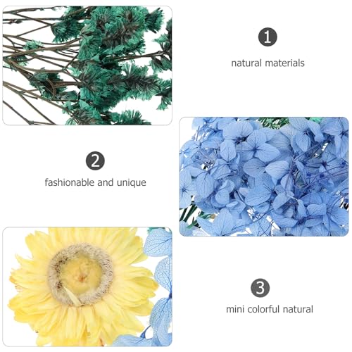 Flores secas prensadas naturales para manualidades miniatura 3