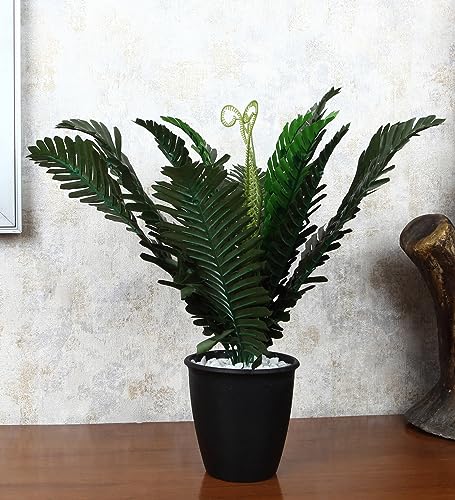 Image of Foliyaj Artificial Fern Plant with Plastic Black Pot with Embedded White Stones for Home and Office Decor | 38 cm Tall