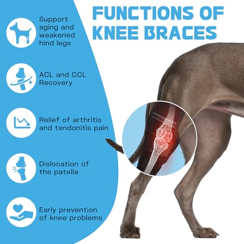 Image of Adjustable Dog ACL Knee Brace - Rear Leg Support for Cruciate Ligament Recovery, Arthritis & Joint Pain Relief (Left,XL)