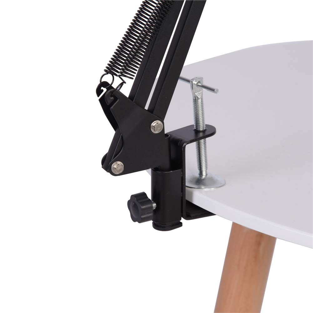 Wakects Microfono a Condensatore BM800, Kit con Filtro Anti-Pop, Braccio di Supporto, Shock Mount, per Registrazione Studio Podcasting Broadcasting