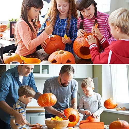 17Pcs Pumpkin Carving Kit, Professional Stainless Steel Pumpkin Knives Tools with Zipper Bag Pumpkin Knife Carver Pumpkin Sculpting Set for Adults Kids Halloween Party Decorating Jack-O-Lanterns 6 51zCuBCAhmL. AC