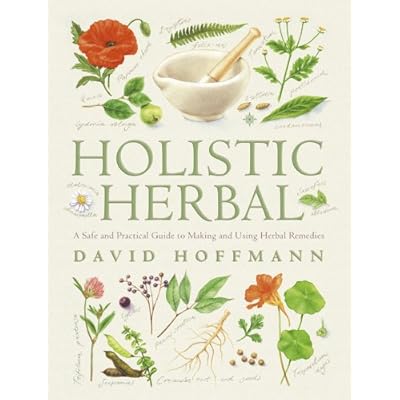 Holistic Herbal: A Safe and Practical Guide to Making and Using Herbal Remedies