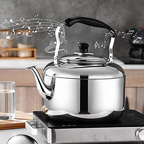 Bouilloire à café compatible induction pour éviter la rouille 6L