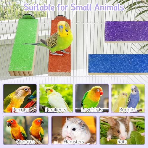 Image of Hamiledy Colorful Bird Perches Wooden Paw Grinding Board Parakeets Stand Platform Bird Chewing Toys Cage Accessories for Budgies Cockatiels Conure Lovebirds Parrots Hamsters(8 Pcs)