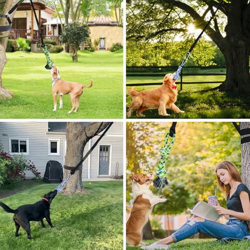 TUAHOO Bungee-Ziehspielzeug für Hunde, Outdoor Hundespielzeug zum Aufhängen mit 2 Kauseilen, Interaktives Tau Spielzeug Hunde Seil für Training Ziehen