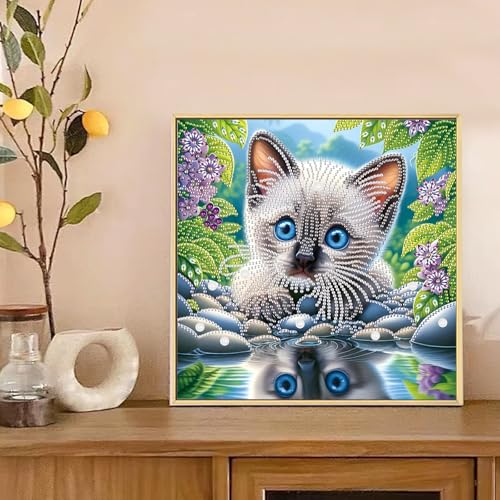 Image of Tontut Diamond Art Painting Kit, Blue Eyes Reflection Cat 5D DIY Special Shape Mosaic Crafts for Beginners and Adults, can be Gifted to Family and Friends, Great for Decorating Home and Office Walls
