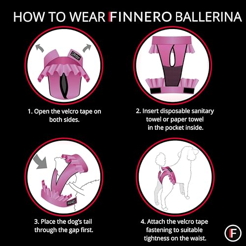 FINNERO Ballerina Läufigkeitshose für Hündinnen – Hundewindel mit Rock für Hündinnen – Schutzhose bei Läufigkeit und Harninkontinenz – Bequem, waschbar und stylisch – S, Beige