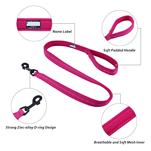 PETTOM Hundeleine Reflektierend Leine aus Nylon mit Weich Gepolsterter Griff und Metallhaken für Training, Robuste Leine Hund für Kleine Mittel Große Hunde (Rose 200 cm)