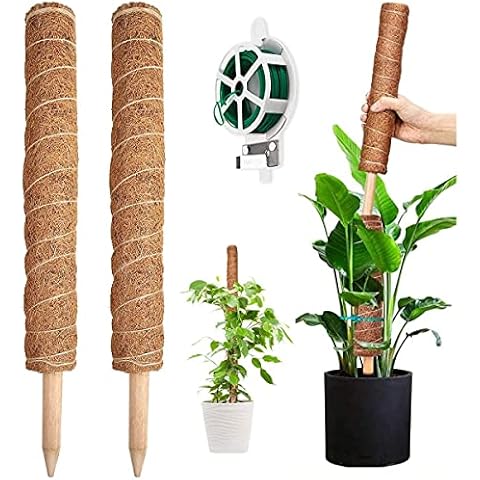 YAUNGEL Pflanzenstütze, 2 Stück 41CM Pflanzstab Rankhilfen für Kletterpflanzen Natürlicher Kokosstab mit 20M Langen Drehbändern zur Unterstützung von Zimmerpflanzen Cover