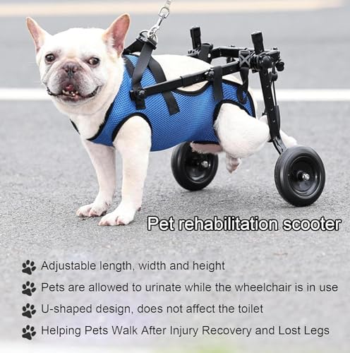Fauteuil roulant pour chien handicapé petit animal léger arrière - 4