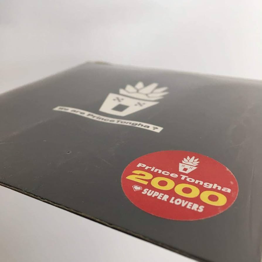 超貴重 電気グルーヴ ピエール瀧 プリンストンガ作品 未開封 新品 非売品 51zD5fJGu1L._UF894,1000_QL80_.jpg