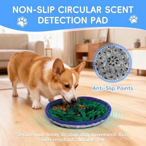 AMFUN Schnüffelteppich Hund, Schnüffelmatte zur Förderung, Welpen-Trainingsmatte für langsames Füttern, Rutschfest, Waschbar, Filz-Material, Lernspielzeug für kleine und große Hunde - Grün, 48 × 48 cm