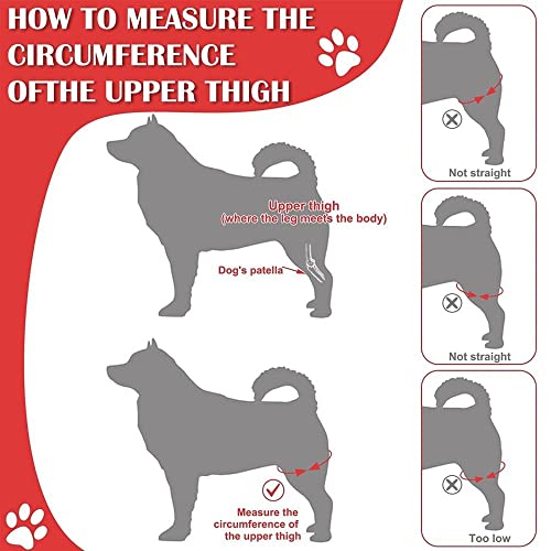 Image of gofidin Dog Leg Support Brace, Pet Knee Pads Dog Elbow Support Brace Protector Breathable Knee Brace Injury Recover Legs Wrap Reduces Pain and Inflammation