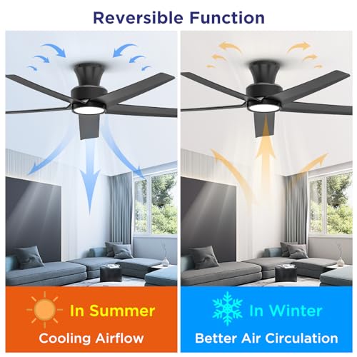 Ocioc OC52-BK-5X-W5 52 Inch Ceiling Fans thumb #3