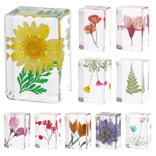 10 Pcs Flower in Resin Specimen Pressed Flower Paperweight Flower in Resin Specimen Collection for Desk Real Flowers Samples Paper Weights for Kids Scientific Educational Display Supplies