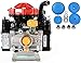 AR30-SP Diaphragm Pump with D30REPAIRBLUE BlueFlex Diaphragm and Valve Complete Repair Kit (Bundle, 2 Items)
