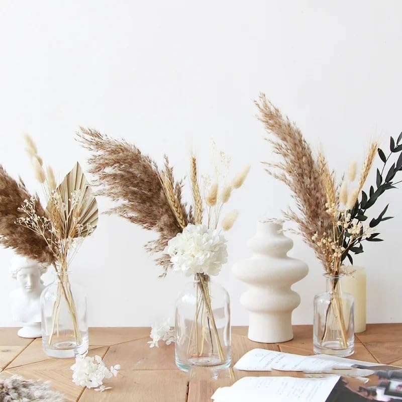 Pampas Grass Natural Seco Decorativo 30-35cm miniatura 2