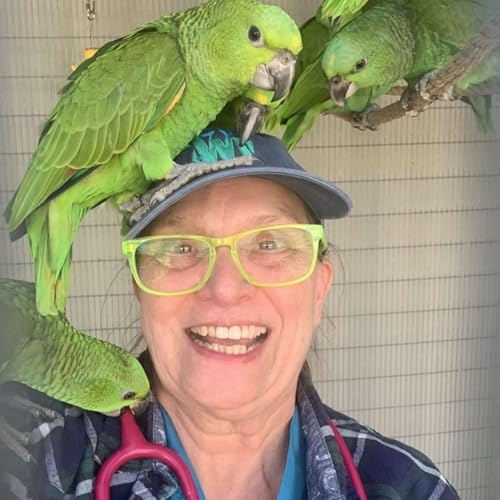 # 67 Pat and the parrots (USA) Podcast Por arte de portada