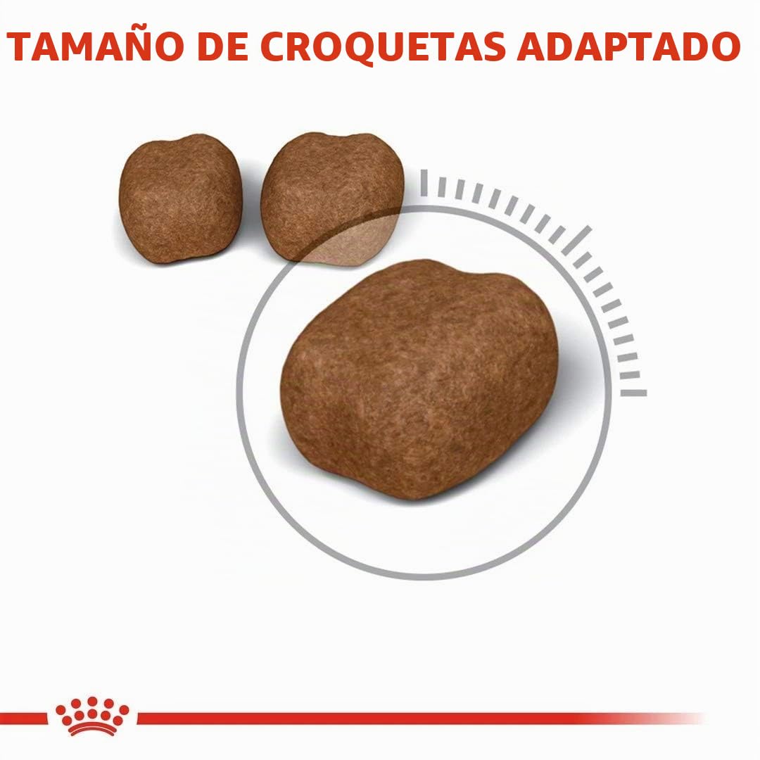 ROYAL CANIN C-584398 Oral Care - 8 Kg
