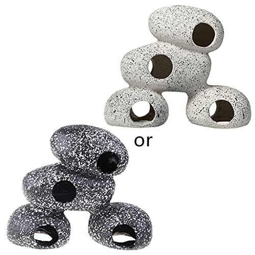 CichlidɐBXg[كeExb^tBbVGr̃ANZT[كbNÂ߂̑