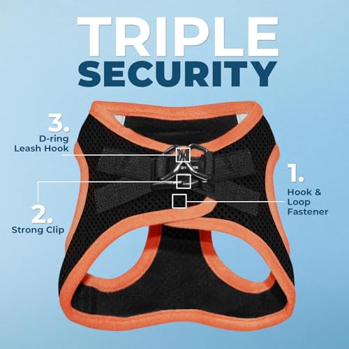 Image of Voyager Step-in Air All Weather Mesh Harness & Reflective Dog 5 ft Leash Combo, Neoprene Handle, for Small, Medium, Large Breed Puppies by Best Pet Supplies - Leash Harness (Black /Orange Trim), XL