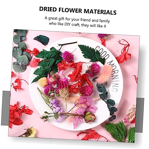 6 cajas de materiales reales de flores secas para manualidades miniatura 3