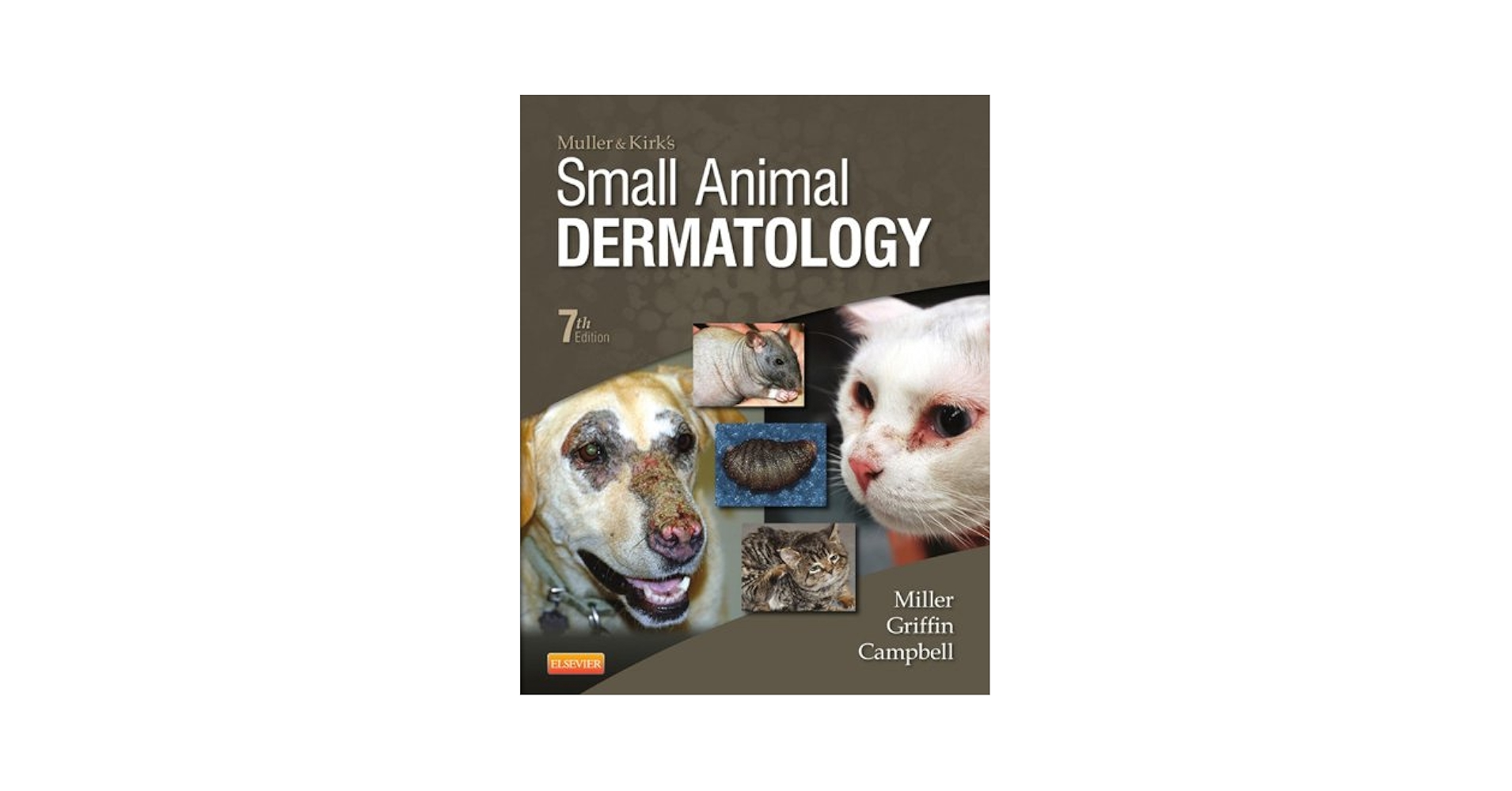 3*6様 Small Animal DERMATOLOGY 第7版 Small Animal Dermatology: A Color Atlas and Therapeutic