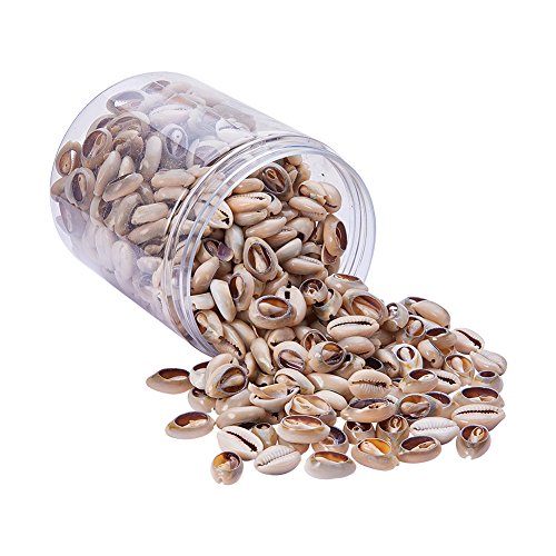 PH PandaHall 100-130PCS Conchiglie Spirale